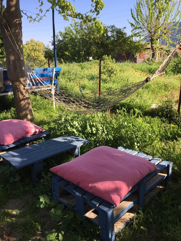 Friends Pension&camping