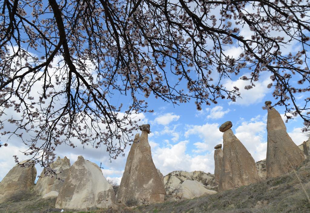 Grand Cave 2* Goreme