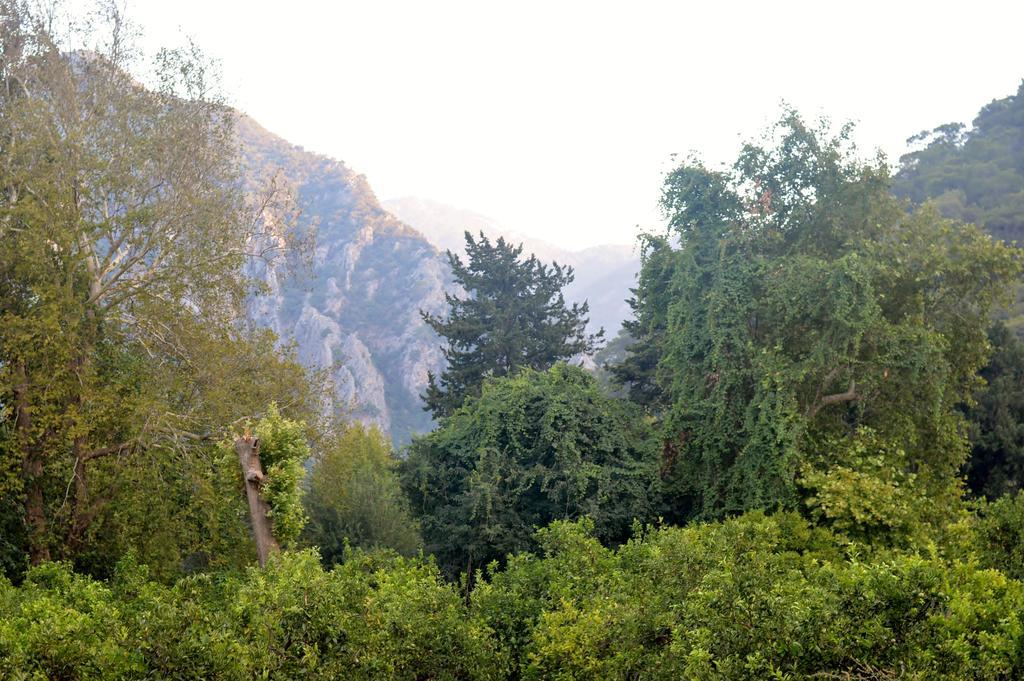 Bed & Breakfast Safir Cirali