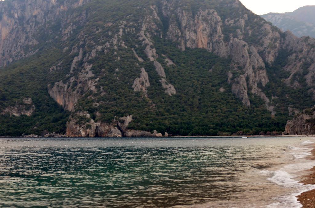 Safir Cirali