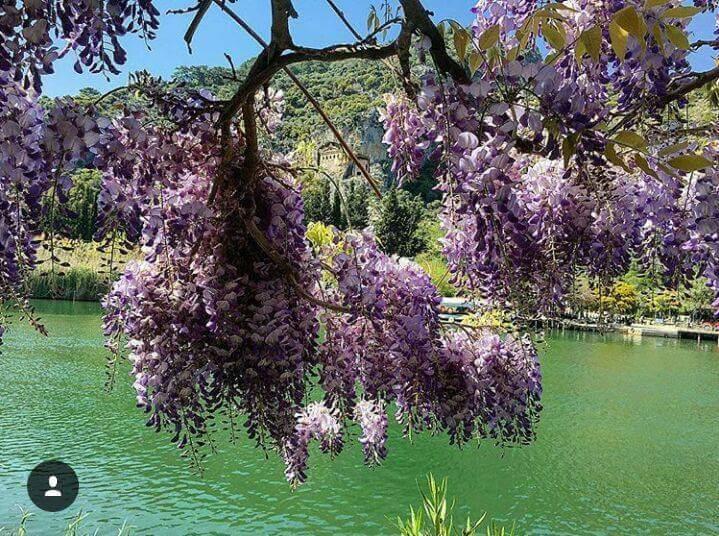 Sirius Guest house Dalyan