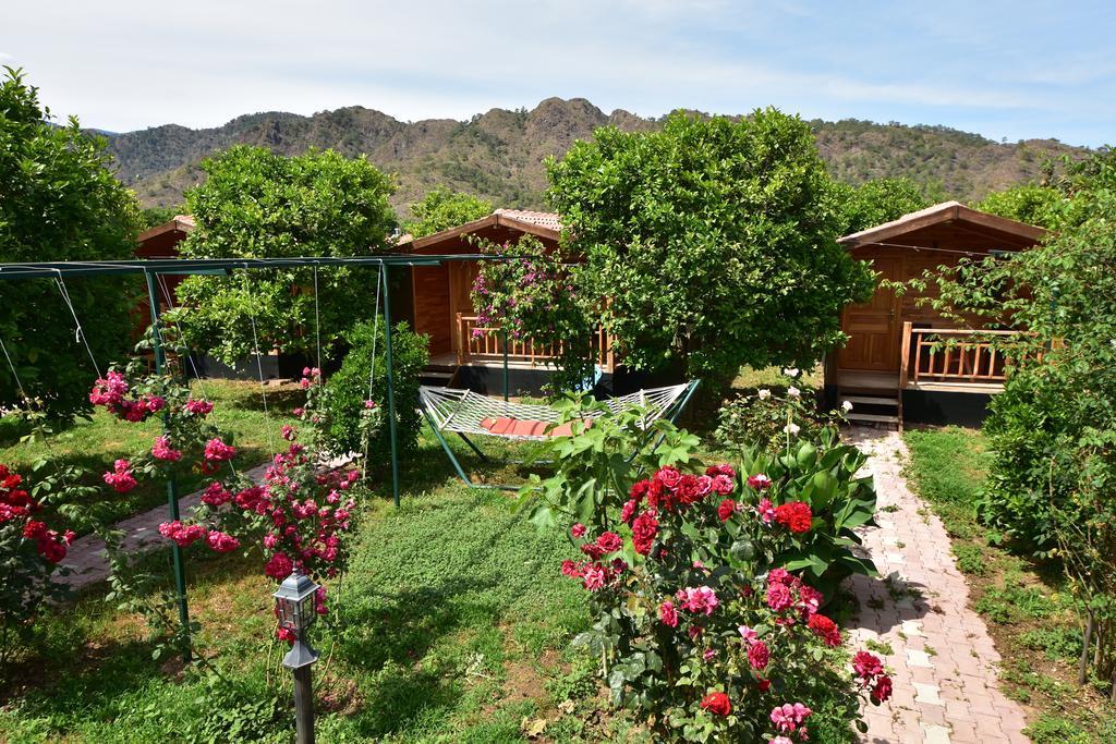 Lemon Garden Bed & Breakfast 2*