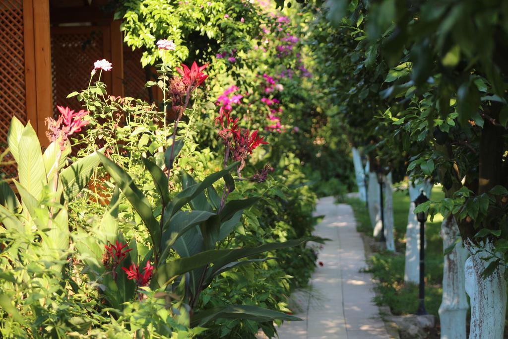 Guest house Blue Paradise Cirali