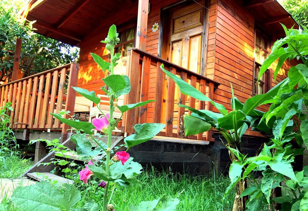 No:1281 Boutique Guest house Adrasan