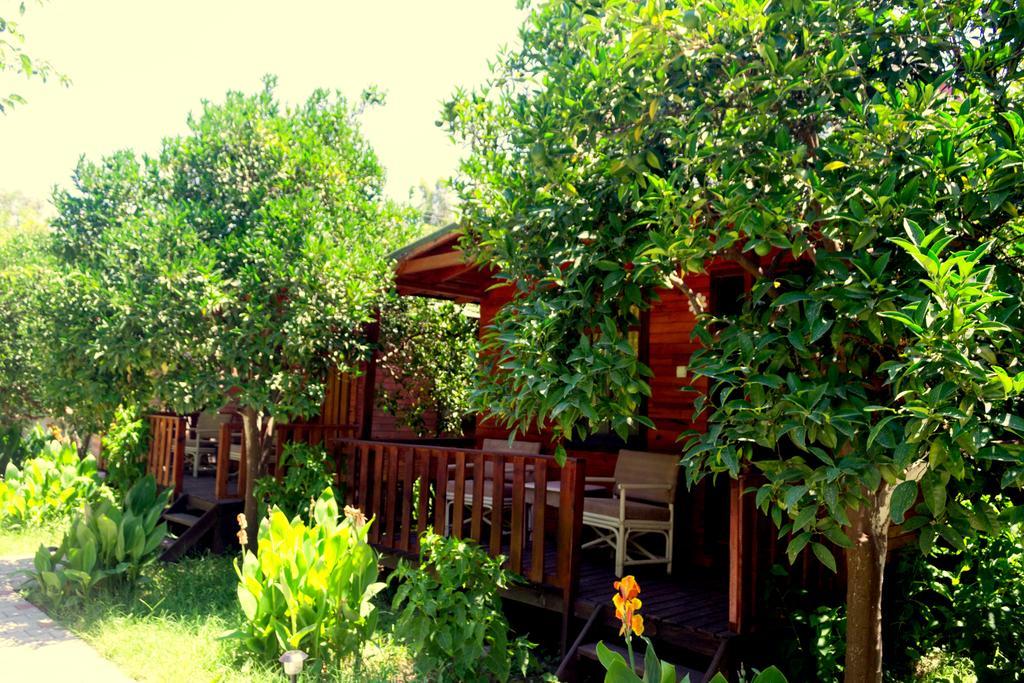 Guest house No:1281 Boutique Adrasan