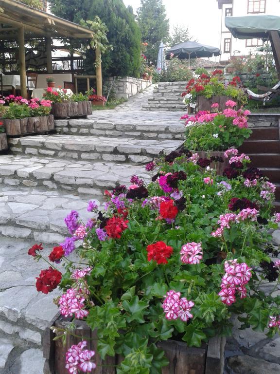 Guest house Akce