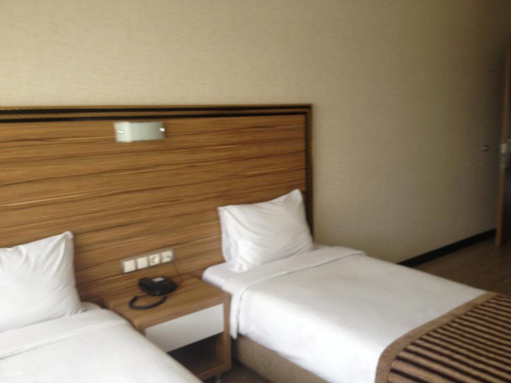 Hotel Buyuk