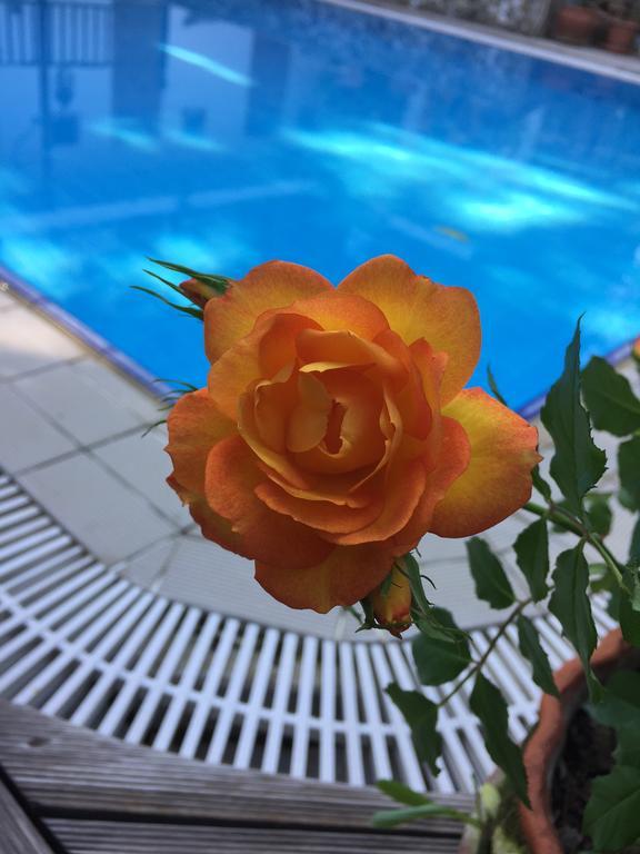 Guest house Beydagi Kemer