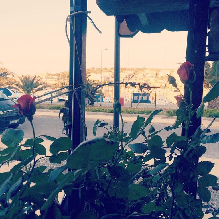 Marina Pansiyon&cafe Cesme