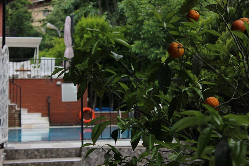 Bueyuekada Apart Hotel - Karadag Apart Adalar