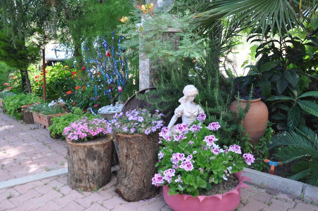 Shambala Homestay Adrasan