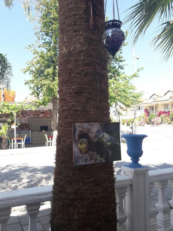 Hotel Hera Beach Hotel Gcr *