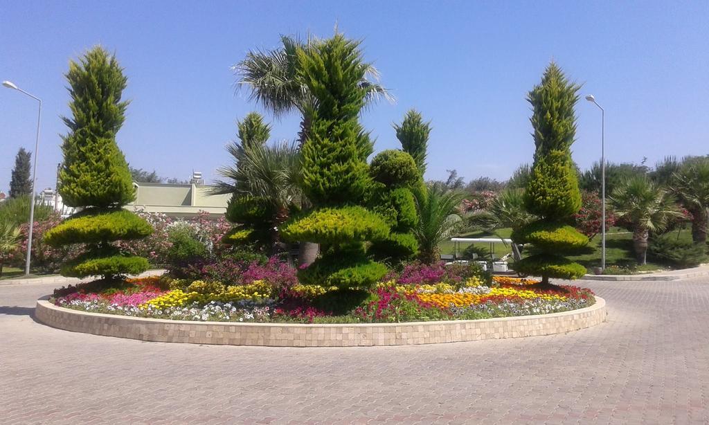 Palm Wings Resort