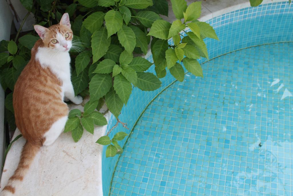 Villa Casa Mia Dalyan