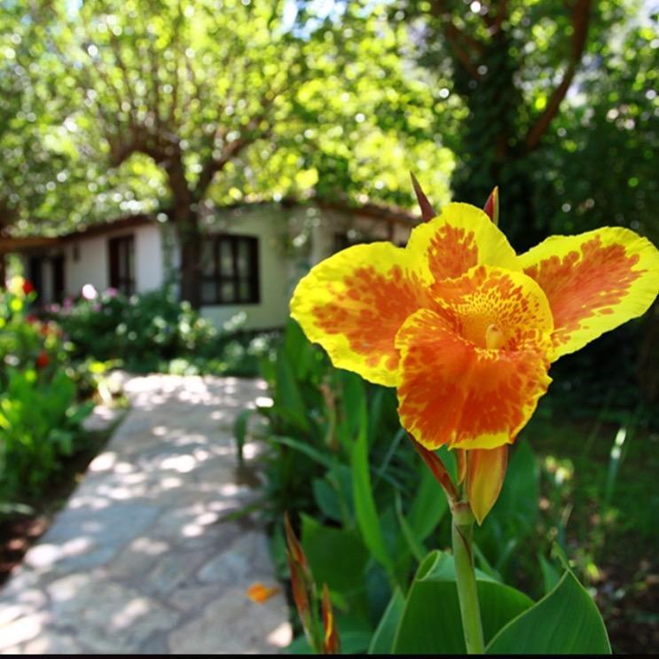 Dolunay Aparthotel Cirali