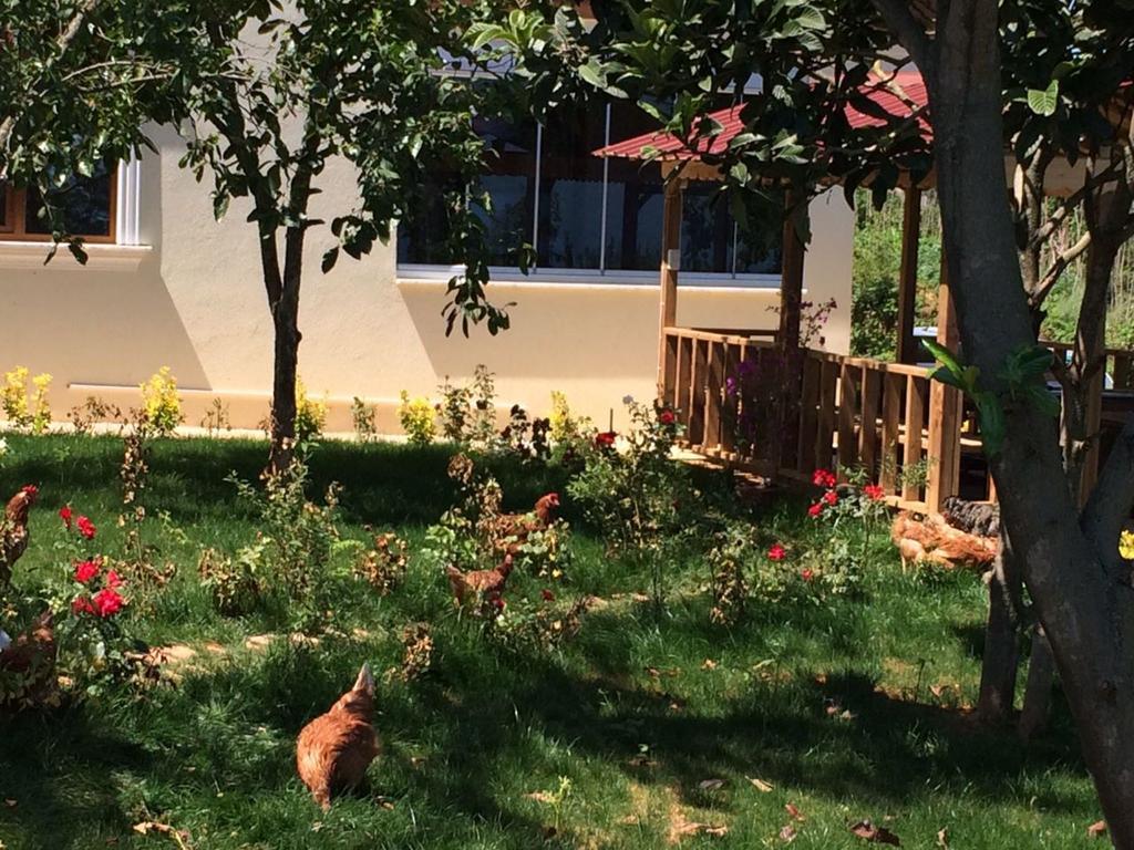 Apartment Menekse 2 Trabzon