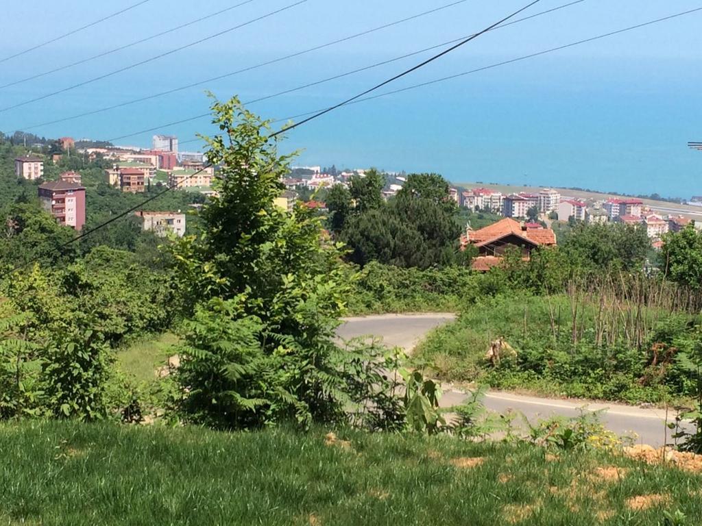 Menekse 2 Trabzon