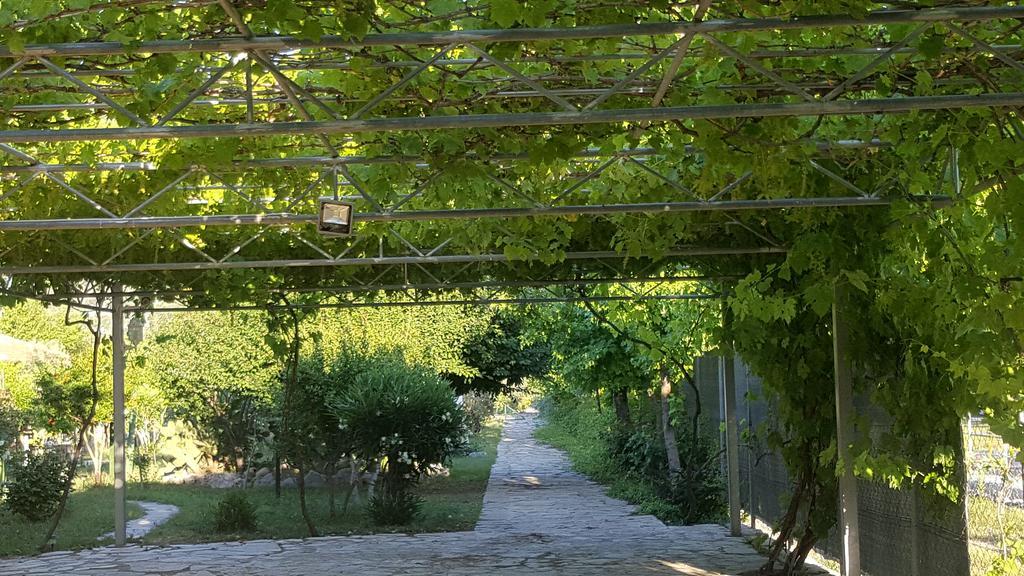 Hotel Bahaus Dalyan