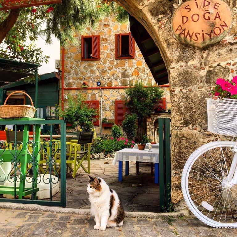 Doga Pension Guest house