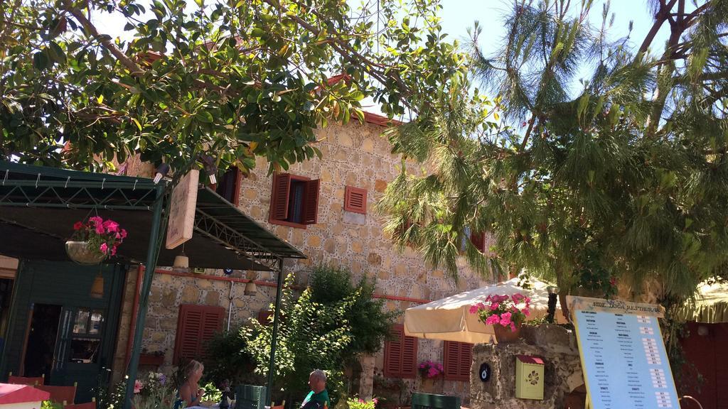 Guest house Doga Pension
