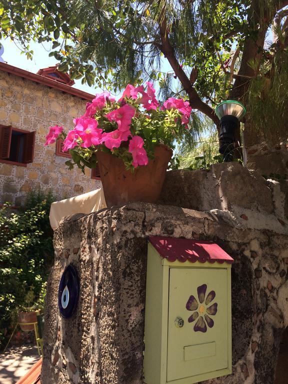 Guest house Doga Pension *