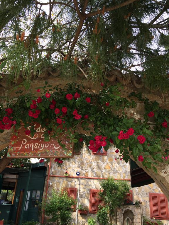 Guest house Doga Pension *