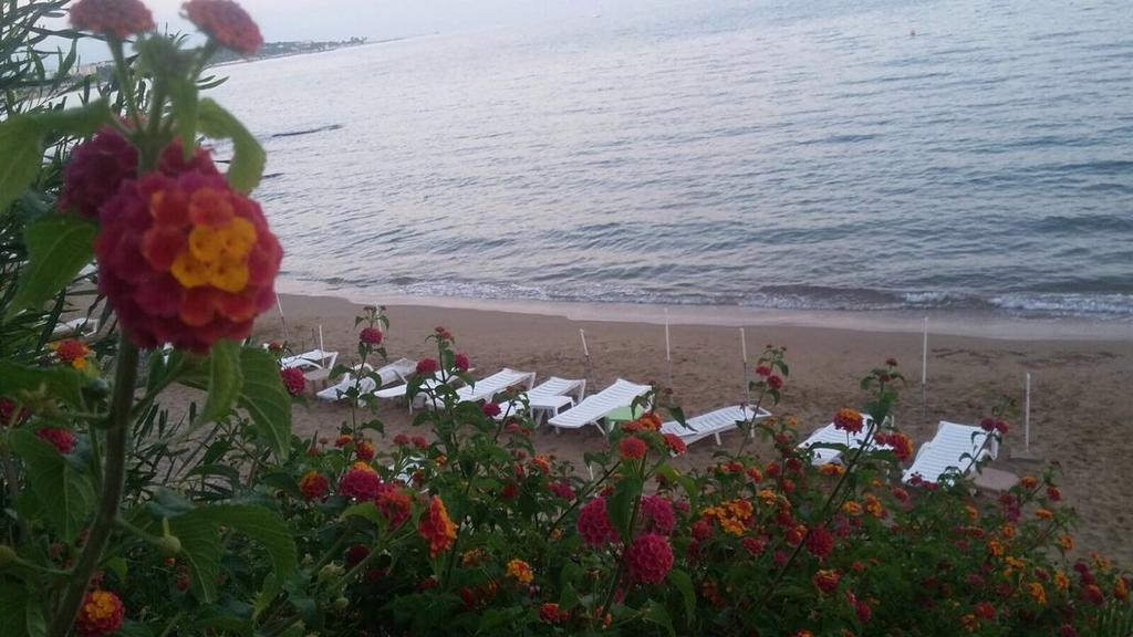 Doga Pension Guest house