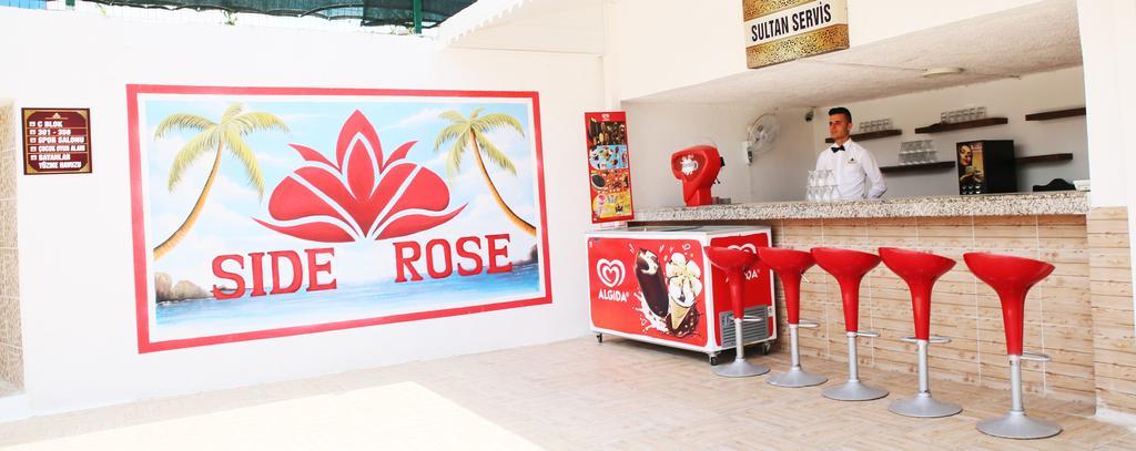 Rose 3*