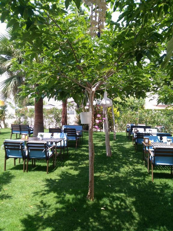 Hotel Palmiye 3*