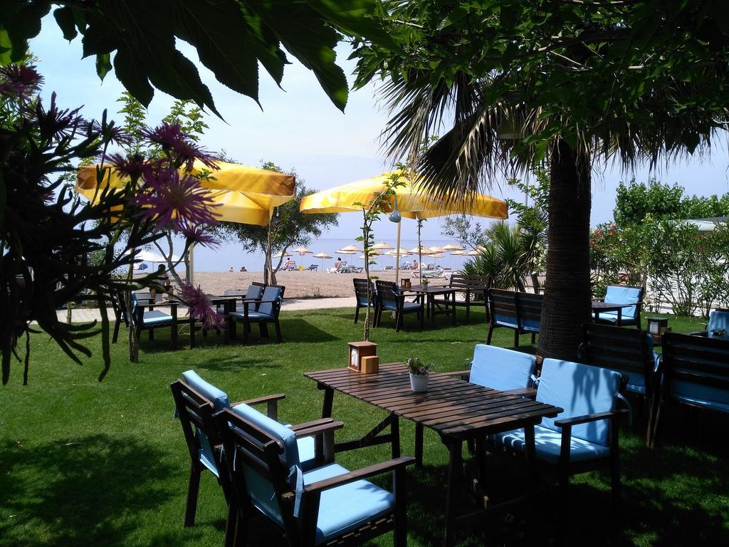 Palmiye Hotel 3*