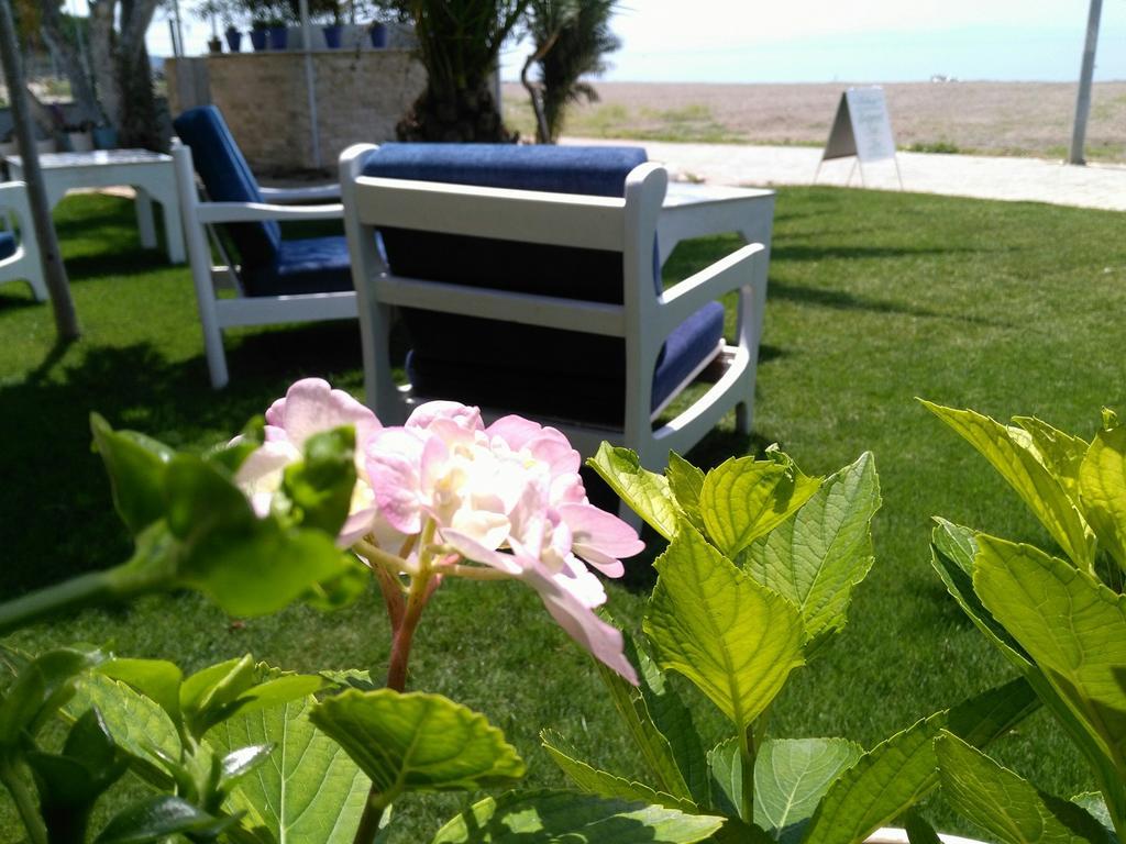Palmiye 3* Ozdere