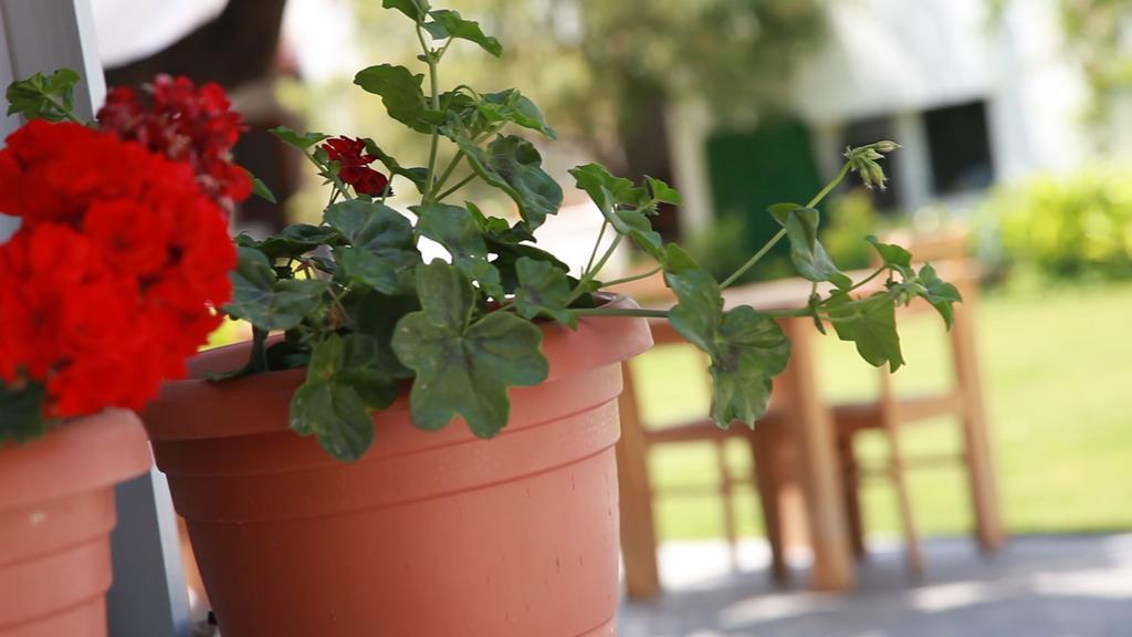 Rota Bed & Breakfast Karaburun (Izmir)