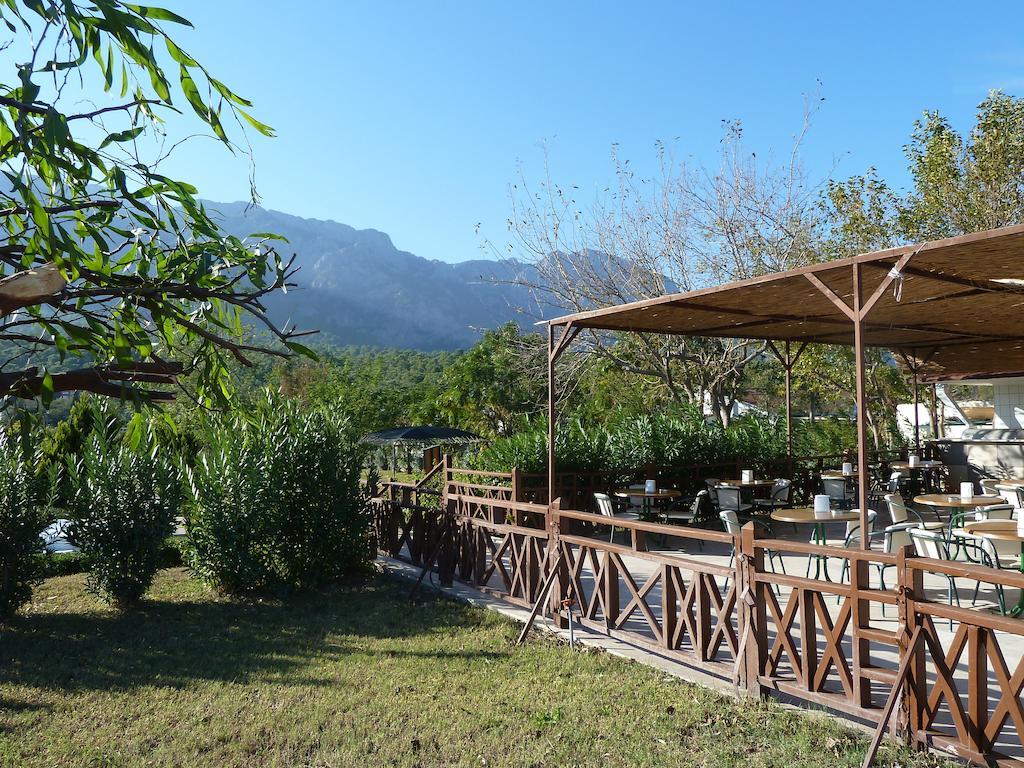 Resort Garden Bergamot