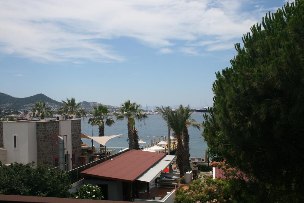 Homestay Sayli *