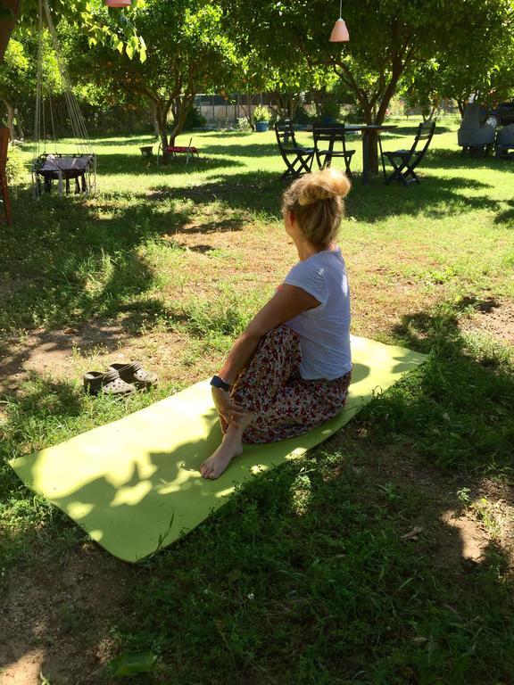 Friends Pension&camping Homestay