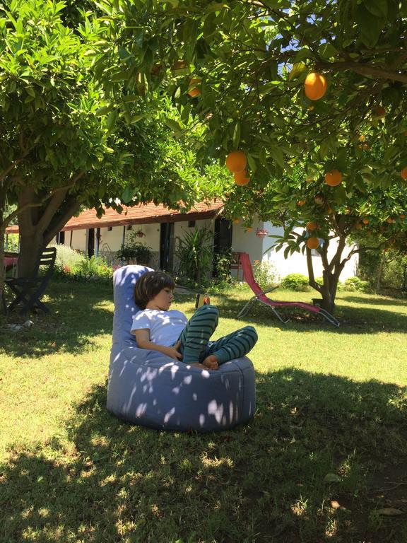 Friends Pension&camping *