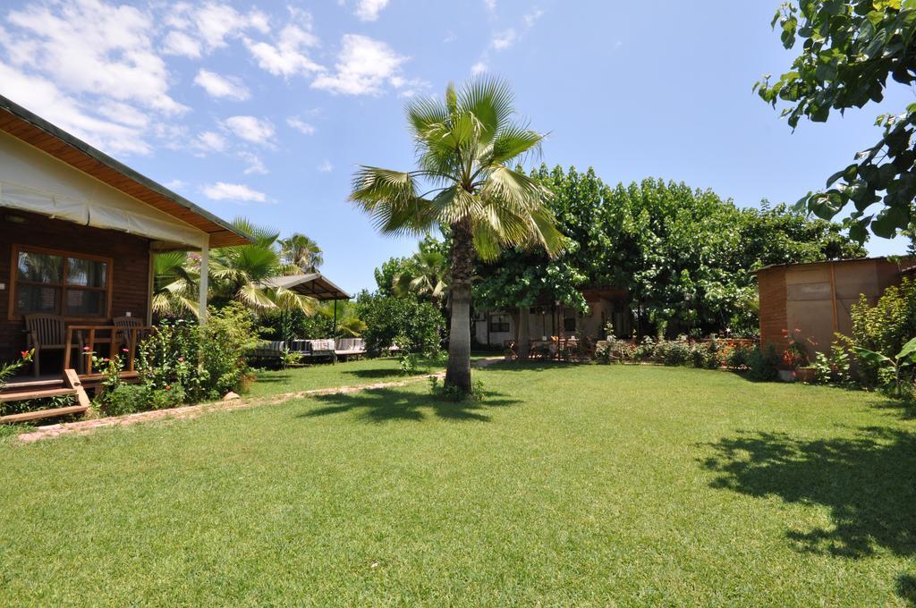 Guest house Cesur Pansiyon 2*