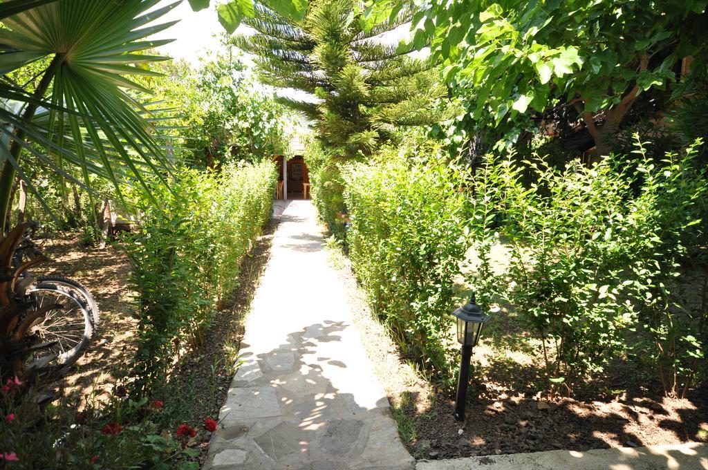 Guest house Cesur Pansiyon