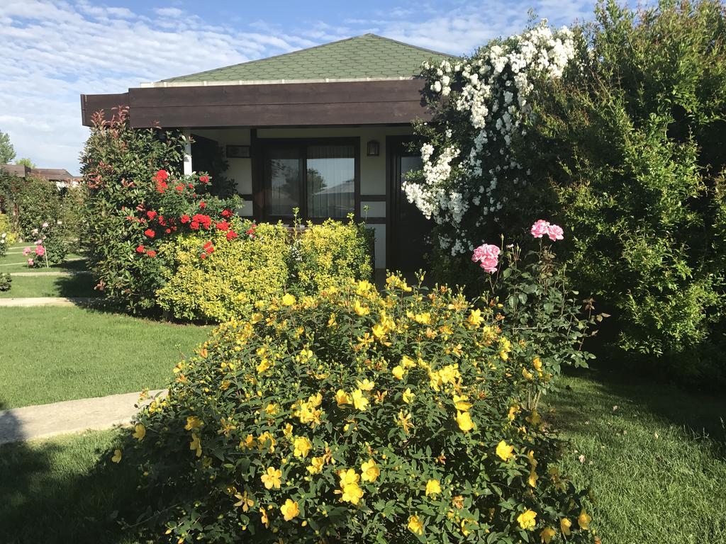 Riva's Club Polonezkoy
