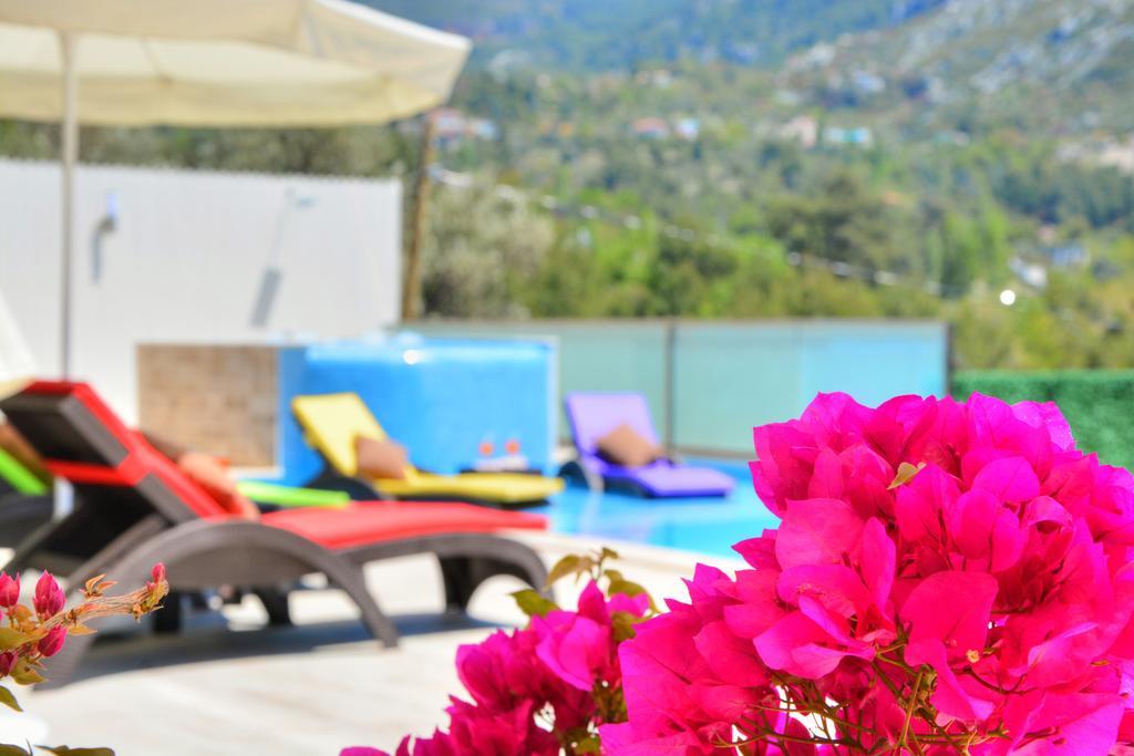 Saltanat Kalkan