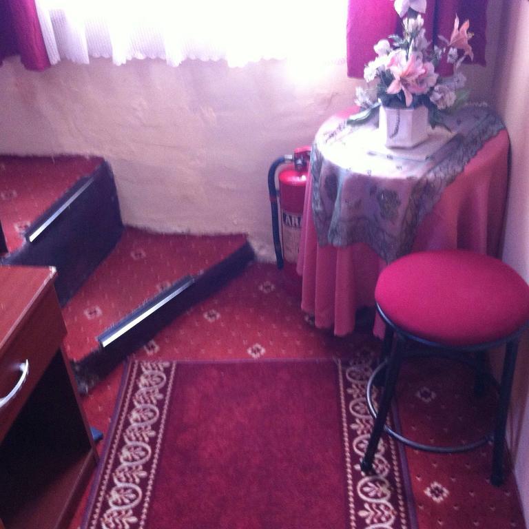 Guest house Necmi *