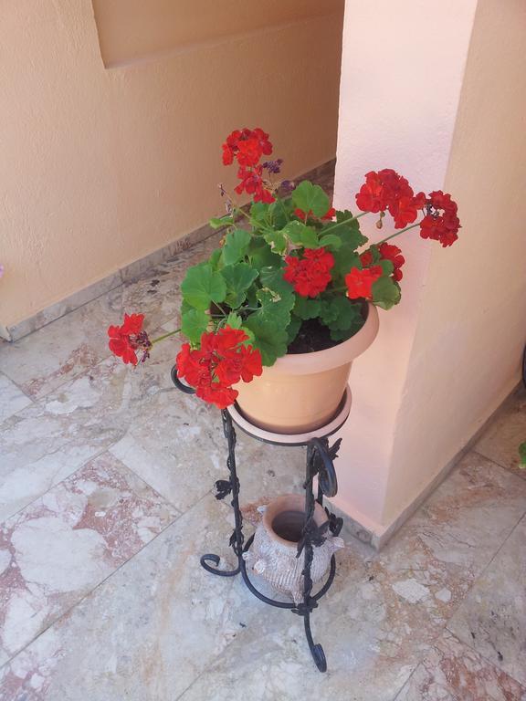 Villa Palace *