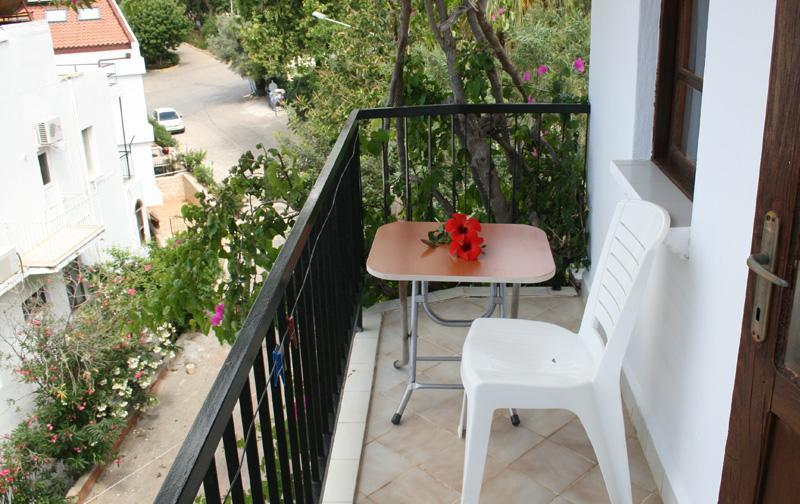 Caretta Homestay