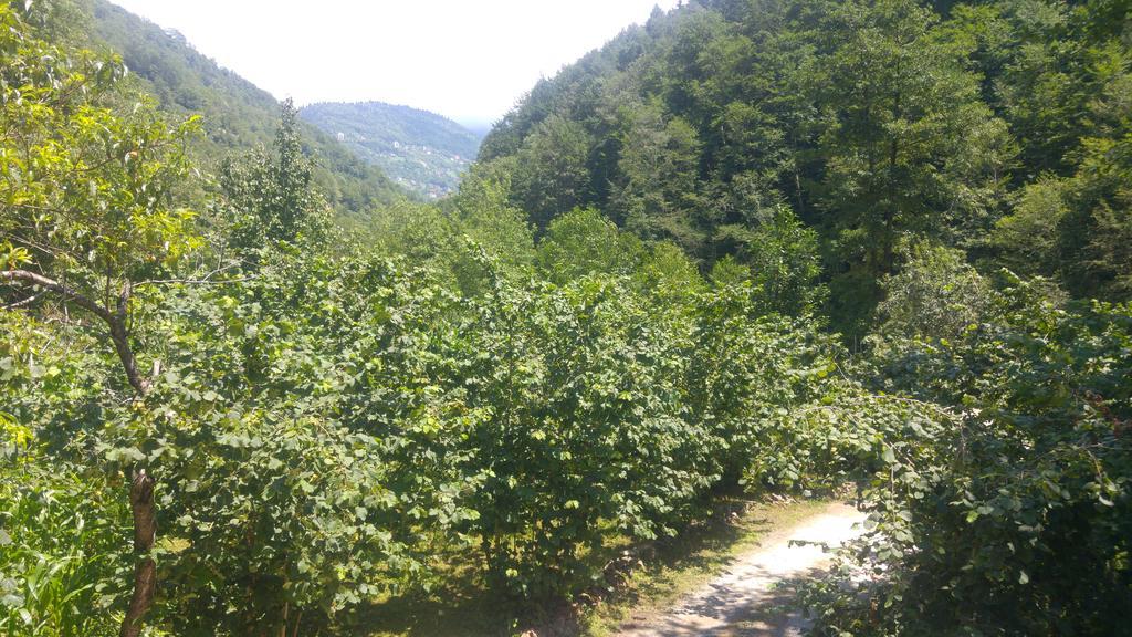 Isikli Kale Homestay *