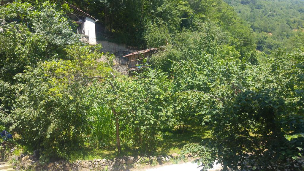 Isikli Kale Homestay *