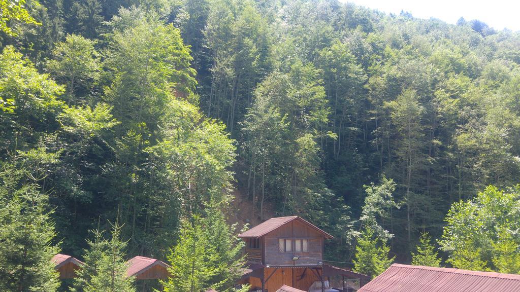 Isikli Kale Homestay
