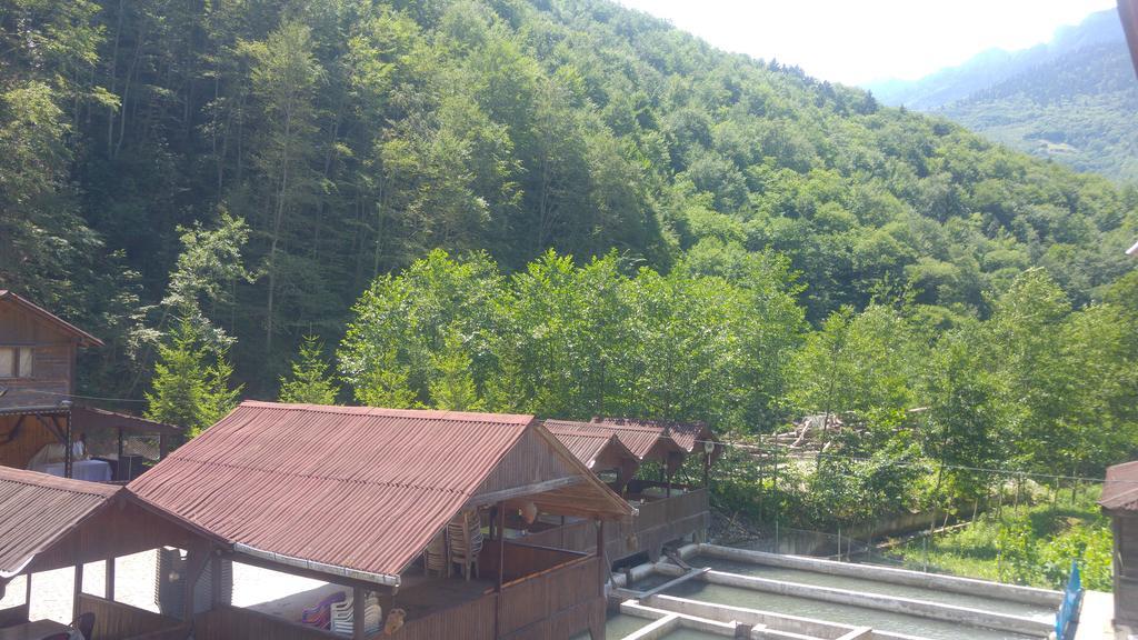 Homestay Isikli Kale Caykara