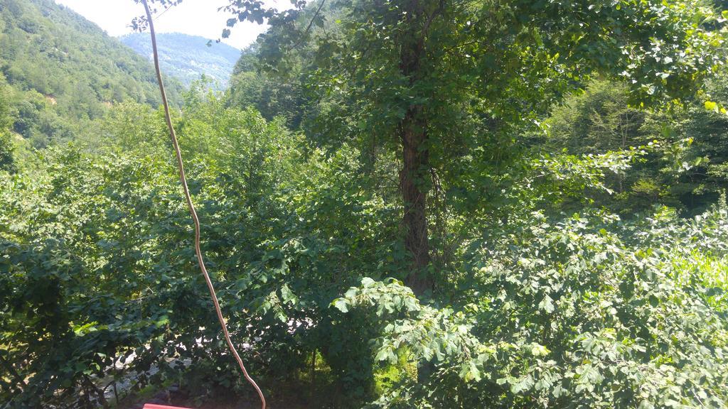 Isikli Kale Homestay