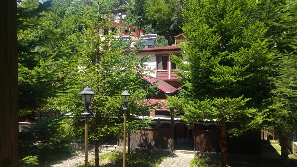 Isikli Kale