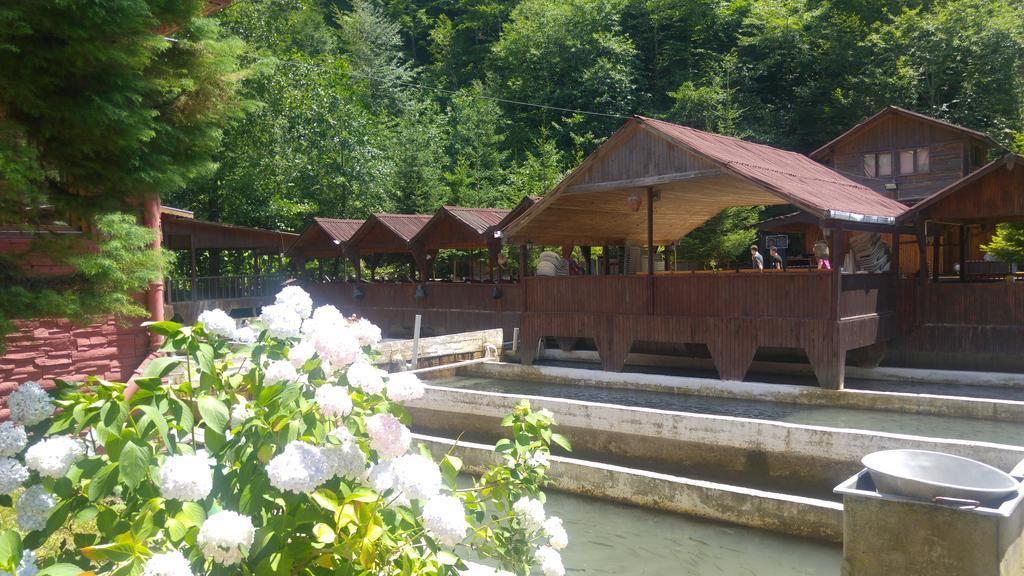Homestay Isikli Kale